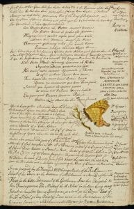 butterfly page